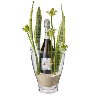 Happy Feelings prosecco Albino Armani DOC Extra Dry (75 cl) Délai de livraison 24h N°12 H N°12 pour Homme